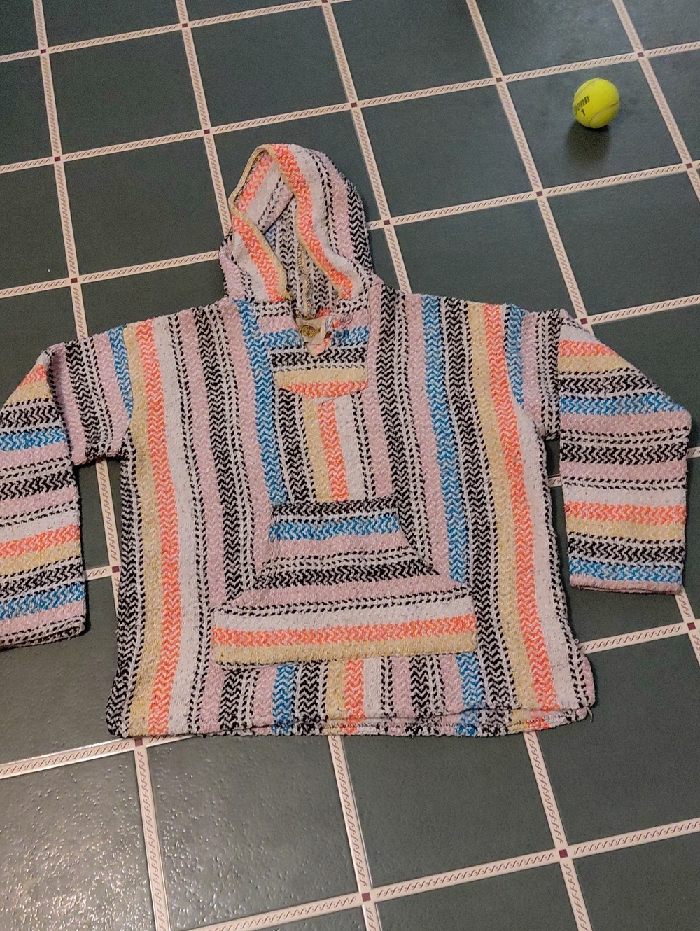 Striped Baja Hoodie Sweatshirt in Pastel Multicolor